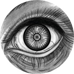 Premiere : Faktorm - Entities (Youandewan remix) (PLR02F)