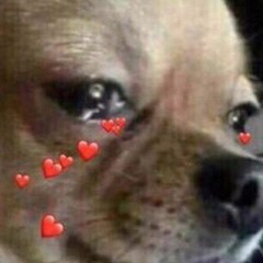 💕valentine's day w/ dandere & madoka💕