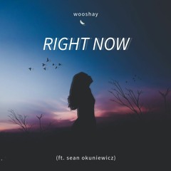Right Now (ft. Sean Okuniewicz)(Full Version)