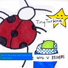 TinyTurbine - ladybug (original speed)