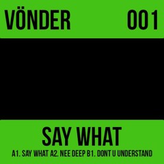 A1. VÖNDER - Say What