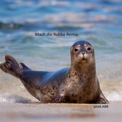 Julien Bam - Mach die Robbe | Remix by ABB