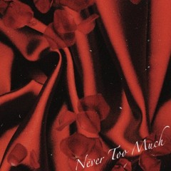 World Tour - Never Too Much ft DoloTonez