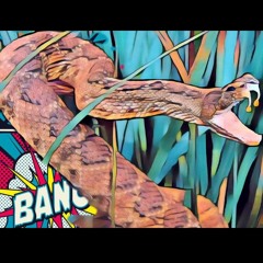 Almighty RuchoSavage- Snake in the Grass