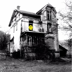 We Need Acid - Opale 666 [ Opale Project ] / 006