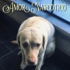 Amor Narcotico (Chichi Peralta)