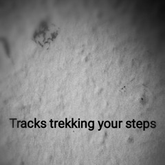 Tracks trekking your steps