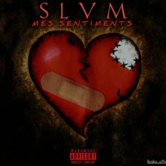 SLVM- mes sentiments