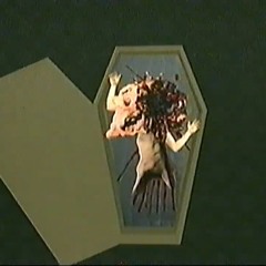 Jack Stauber - Cupid