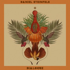 Premiere: Daniel Steinfels - Dialogue [Random Collective]