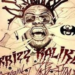 RTBW & GutterSniper - Girls like that Krizz Kaliko remix
