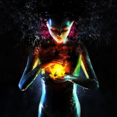 AGM - Phenomenon 2019