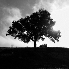 Nubes Descoloridas - Altemir.