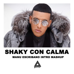 Daddy Yankee - Shaky Con Calma ( Manu Escribano Intro Mashup )