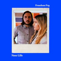Alanis Morisette - Ironic (Freedom Fry Cover)