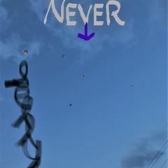 Never Down