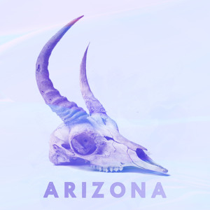 Arizona להורדה