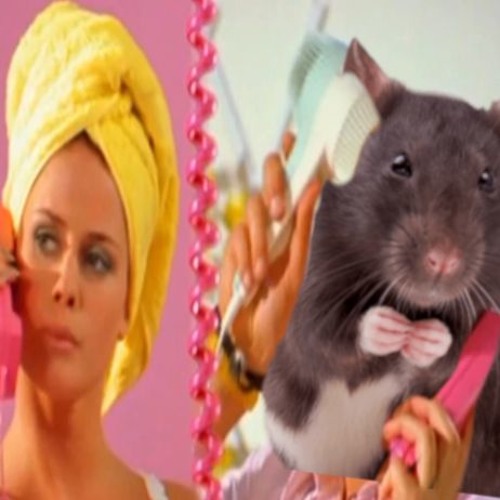 where was the first teddy bear made