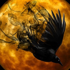 BirdBox (vendido\sold)