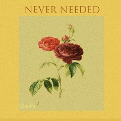 Never Needed (Ft. Rocky Kuner )