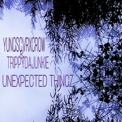 YUNGSCVRXCROW & TRIPPYDAJUNKIE - UNEXPECTED THINGZ