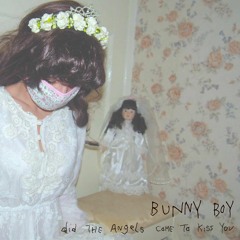 Mary And The Land Of The Kalicos  The Drearsils