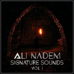 Ali Nadem Signature Sounds Vol. 1 (FREE SAMPLE PACK)