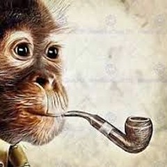 REAL FREESTYLE Prod. Tone