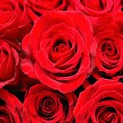 NOID110 VALENTINES DAY MIX