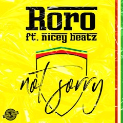 Not Sorry (Ft. Nicey Beatz)