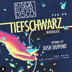 Josh Dupont - Live Set Opening For Tiefschwarz at The Dive Feb. 2019