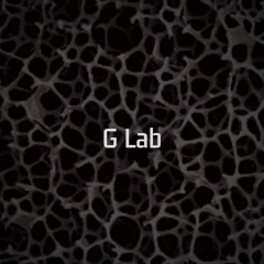 Genotype - Brain Test