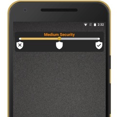 Armadillo Security Warning