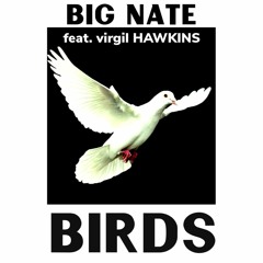 Birds (feat. Virgil Hawkins)[Prod IVAN]