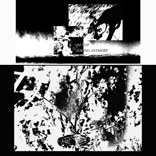 IRRENARZT - I'm Not Joking Anymore