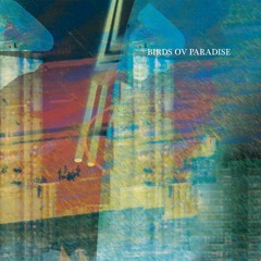 MNMT Premiere: Birds ov Paradise – Klintens Väg