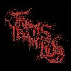 TRISTIS TERMINUS - The Terror That Precede The End