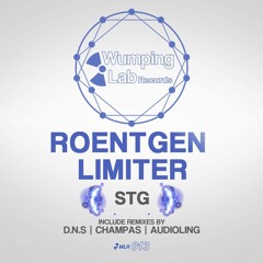 Roentgen Limiter - STG (D.N.S Remix) Preview