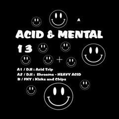 Acid & Mental 13 - Face B - FKY - Kicks And Chips