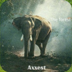 The Forest