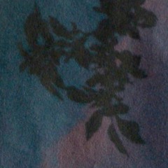 One Night With Serge