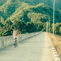 Dường Như Ta Đã - Nguyên Hà