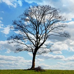 Sam Meakins - Fetish (Instrumental)