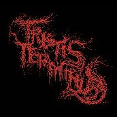 TRISTIS TERMINUS - Dead Reality