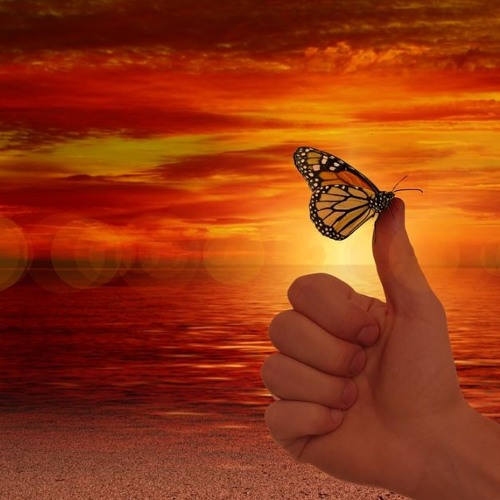 Fairy Tale by Kokkey