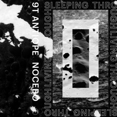 9T Antiope - The Cruel, Appalling, Sediment Of Death (from 'Nocebo' [PTP2012])