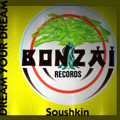 Dream Your Dream - Soushkin (Bonzai Records)