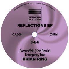 Brian Ring - Forest Walk (Kiwi Remix)