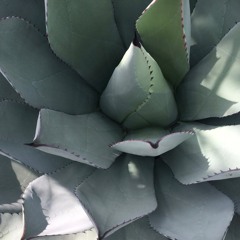 Falling Apart - marcyrosa