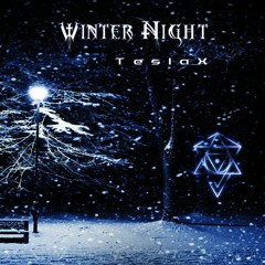 TeslaX - Winter Night